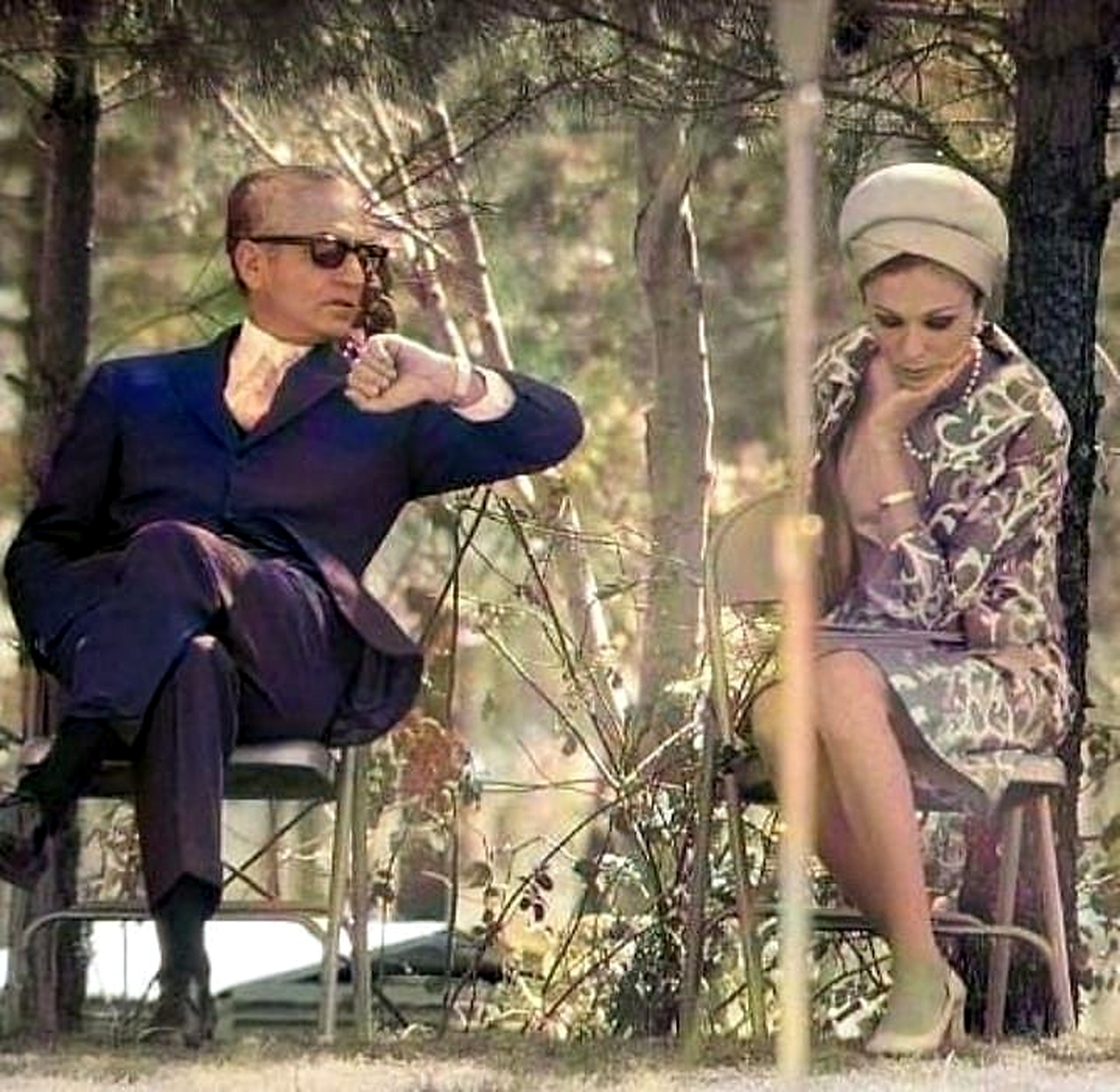 In the pine grove.
